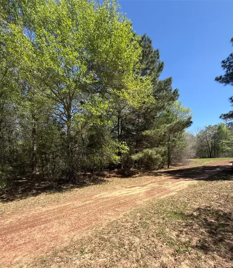 26842 Eagle Dr, Hempstead, TX 77445 photo 6