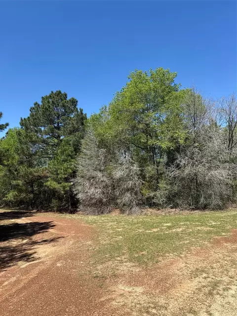 26842 Eagle Dr, Hempstead, TX 77445
