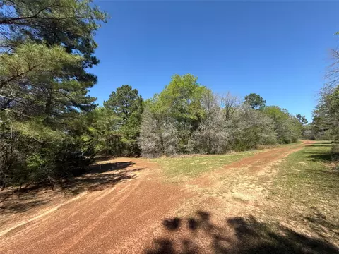 26842 Eagle Dr, Hempstead, TX 77445 photo 5