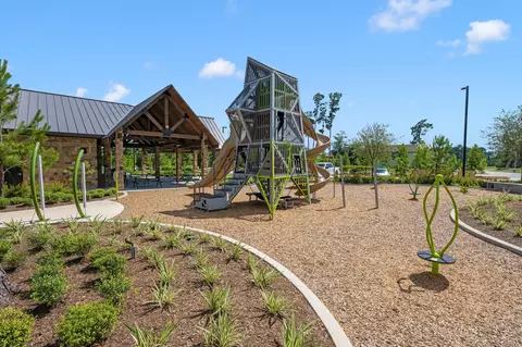 View/Area - 2491 Forest Cedar Ln, Conroe, TX 77301 photo 8 of 16