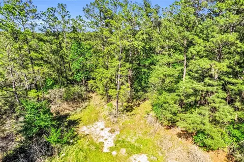 0 Pine Ln, Onalaska, TX 77360 photo 4