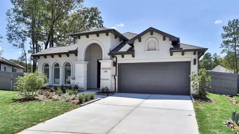 17836 Parnassum Path, Conroe, TX 77302 photo 1