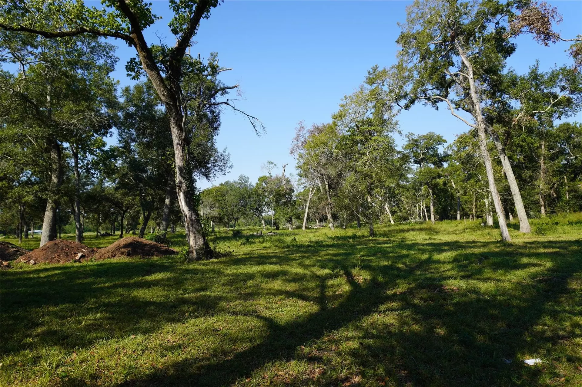 0000 Jerry #LOT 3, Thompsons, TX 77469 | MLS# 58369383 | 6 Photos