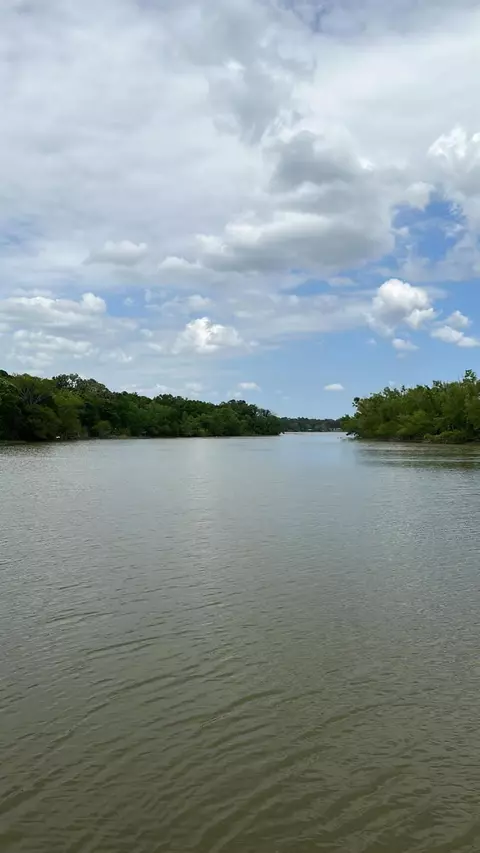 lot7 Monticello St, Trinity, TX 75862 photo 8