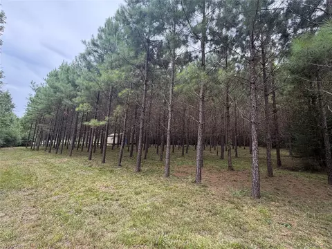 00 Cody Rd, Livingston, TX 77351