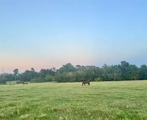 75 Acres Spring Branch Rd, Montgomery, TX 77316