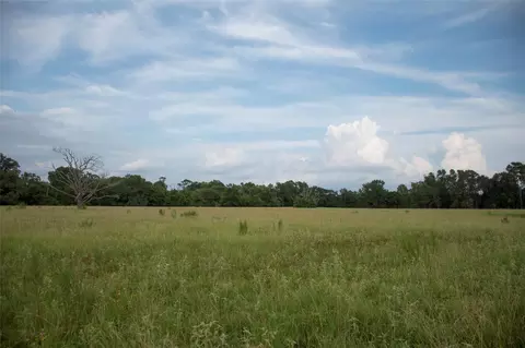 1202 County Road 2255, Grapeland, TX 75844