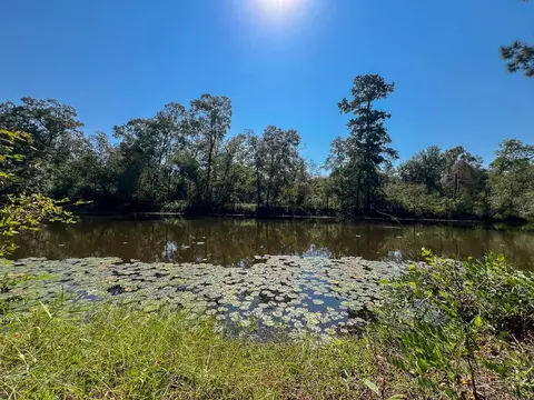 1 Off County Road 2925, Weches, TX 75844