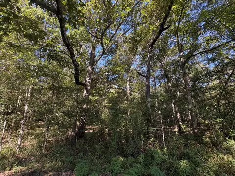 0 Fm 787, Thicket, TX 77374