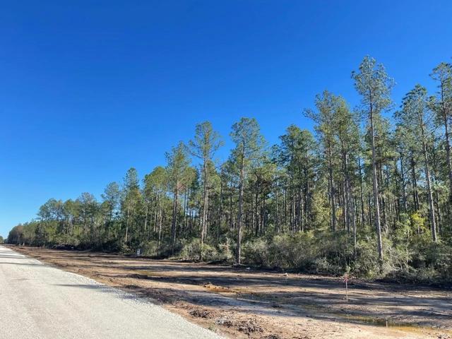 tbd Black Cat Rd, Sour Lake, TX 77659