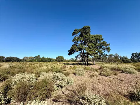 5 Ac Pr 1313, Centerville, TX 75833 photo 3