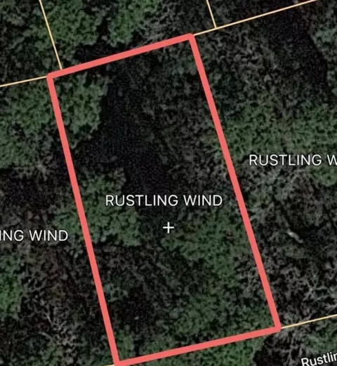 0 Rustling Wind, Trinity, TX 75862 photo 3