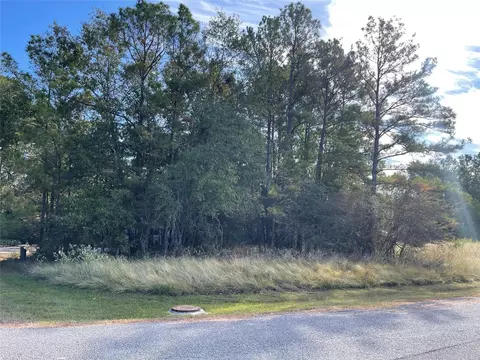 40 Knight Lane Dr, Coldspring, TX 77331