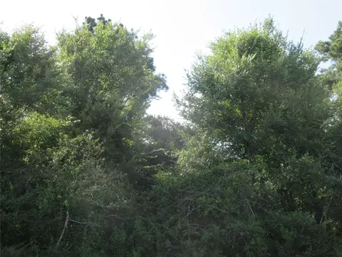 tbd Hwy 190 E, Point Blank, TX 77364 photo 8