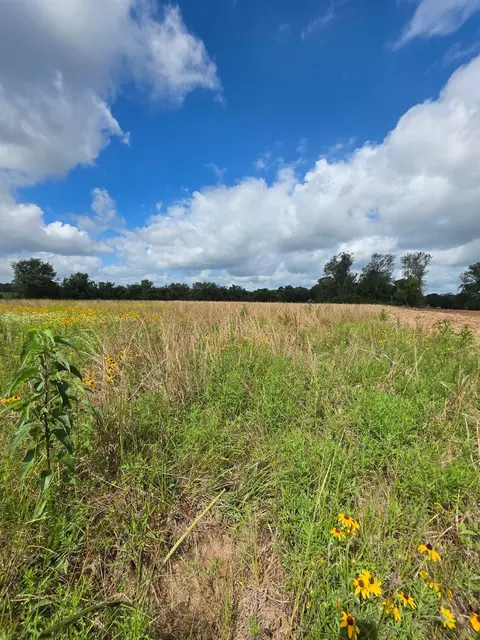 tbd Lot 8 County Road 201, Plantersville, TX 77363