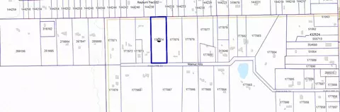 tbd Walnut Hills Dr, Conroe, TX 77302 photo 5