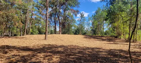 735 Stonewall Jackson Dr, Conroe, TX 77302 photo 2