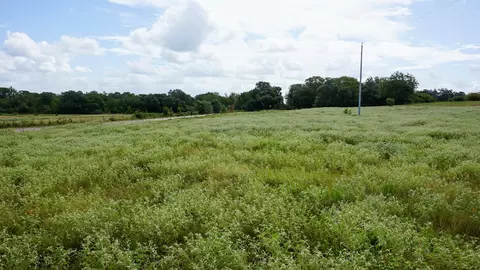 0 Hranicky Rd, Schulenburg, TX 78956 photo 8