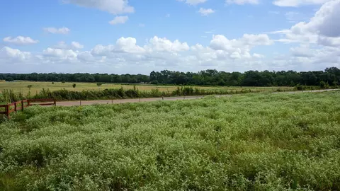0 Hranicky Rd, Schulenburg, TX 78956 photo 9