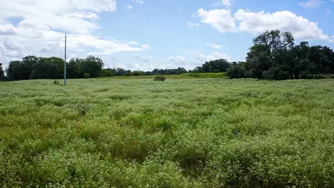 0 Hranicky Rd, Schulenburg, TX 78956 photo 7