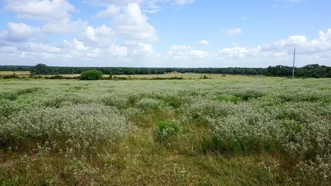 0 Hranicky Rd, Schulenburg, TX 78956 photo 6