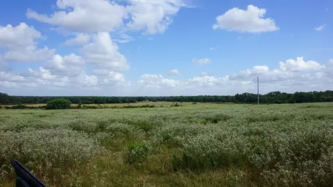 0 Hranicky Rd, Schulenburg, TX 78956 photo 5
