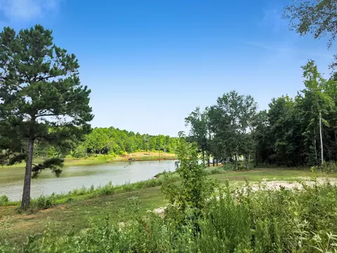View/Area - 10024 Cr 207, Centerville, TX 75833 photo 4 of 9