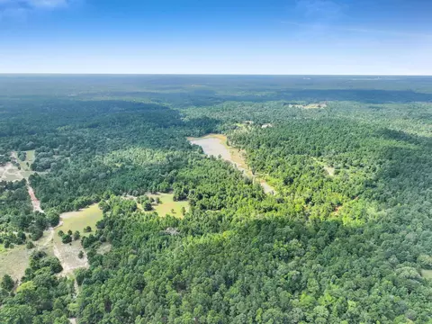 View/Area - 10024 Cr 207, Centerville, TX 75833 photo 9 of 9