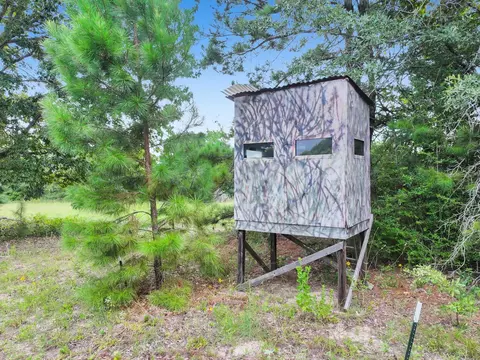 Other - 10024 Cr 207, Centerville, TX 75833 photo 13 of 13