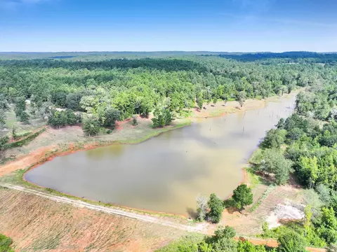 View/Area - 10024 Cr 207, Centerville, TX 75833 photo 6 of 9
