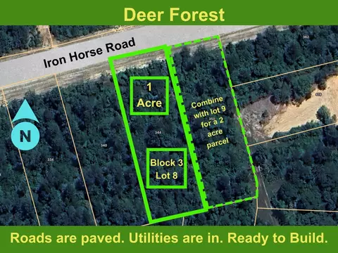 344 Iron Horse Rd, Willis, TX 77378