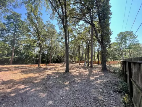 16020 N Loop Dr, Plantersville, TX 77363
