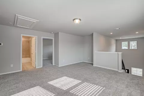 17613 Rosette Grass Dr, Conroe, TX 77385 photo 18