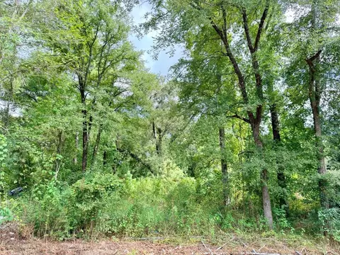 10839 River Dr, Houston, TX 77385 photo 9