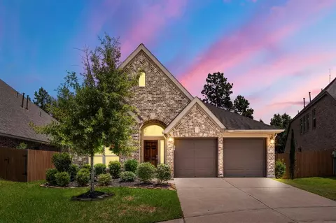 27906 Emory Cove Dr, Spring, TX 77386 photo 1