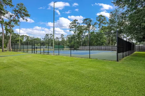 View/Area - 25003 Aughton Dr, Spring, TX 77389 photo 8 of 9