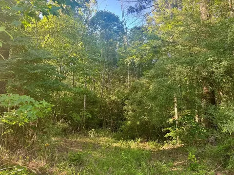 tbd County Road 1039, Burkeville, TX 75932