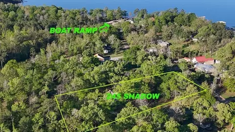 View/Area - 245 Shadow Dr, Hemphill, TX 75948 photo 3 of 6