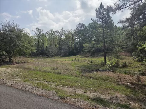 2 58 Acres Oakdale Dr, Huntsville, TX 77320