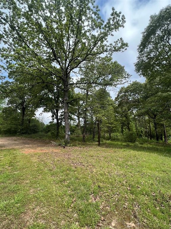 2900 County Rd 3370  