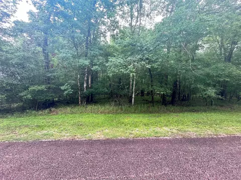 74 S Royale Greens Dr, Coldspring, TX 77331