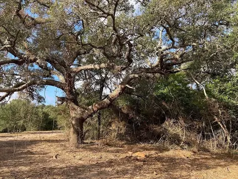 000 Loose Cow Rd, Garwood, TX 77442