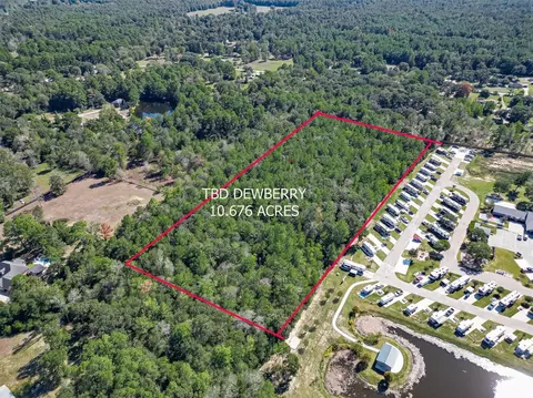 0 Dewberry Ln, Conroe, TX 77302