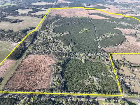 2 Highway 146, Livingston, TX 77351
