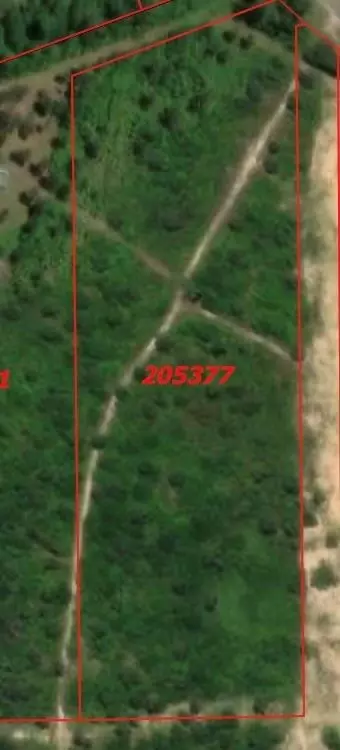 Fm 943 Rd, Livingston, TX 77351