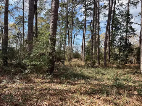 tbd 350 N, Livingston, TX 77351