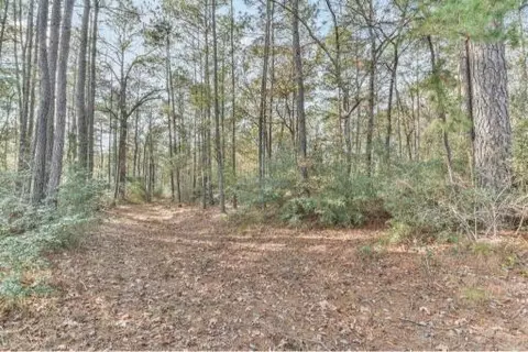 16400 E Fm 1097 Rd, Willis, TX 77378