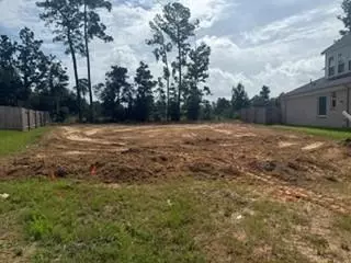 Other - 2005 Atlas Cedar Dr, Conroe, TX 77301 photo 3 of 3
