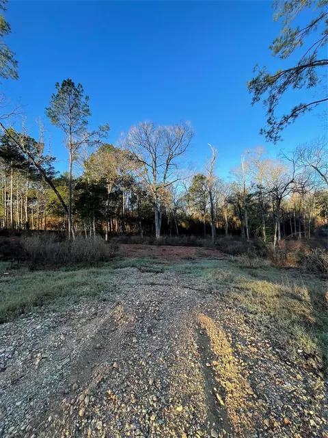 11351 Annie Creek Dr, Willis, TX 77378