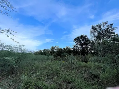 506 Rogers St, Wallis, TX 77485